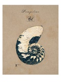 Vintage Linen Nautilus Reproduction procédé giclée par Regina-Andrew Design 