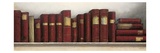 Study in Red Giclee Print by Arnie Fisk