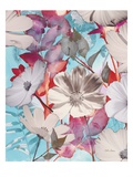 Lovely Bloom 1 Giclee Print by Matina Theodosiou