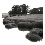 Bright Mist on the Marsh Giclee Print by Dorothy Kerper Monnelly
