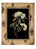 Silver Rhododendron Giclee Print by Regina-Andrew Design 