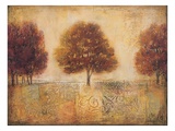 Tapestry Fields I Giclee Print by Ivo Stoyanov