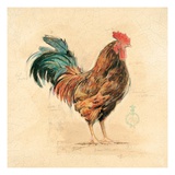 Teal Plumage Detail Giclee Print by Chad Barrett