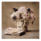 Estate Hydrangeas Giclee Print by Cristin Atria