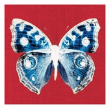 Scarlet Red Pop Butterfly Giclee Print by Christine Caldwell