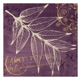 Lavender Pistache Giclee Print by Booker Morey