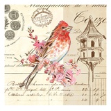 Bird Sketch 1 Impressão giclée por Chad Barrett Bird Sketch 1 Impressão giclée por Chad Barrett