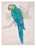 Aqua Tropical Giclee Print by Chad Barrett