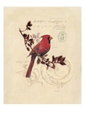 Filigree Cardinal Reproduction procédé giclée par Chad Barrett