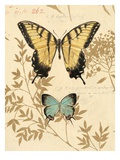 Nature's Curiosities 6 Giclee Print by Chad Barrett