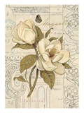 Magnolia Etching Reproduction procédé giclée par Chad Barrett