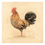 Chocolate Plumage Detail Giclee Print by Chad Barrett