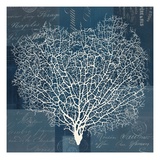 Document Sea Fern 1 Giclee Print by  Z Studio