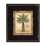 Pacific Palm Giclee Print by Chad Barrett