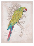 Chartreuse Tropical Giclee Print by Chad Barrett