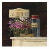 Jarden de Antiquites Giclee Print by Angela Staehling