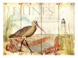 Dunes Shorebird Giclee Print by Mary Escobedo