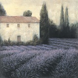 Lavender Field Detail Giclee Print by James Wiens
