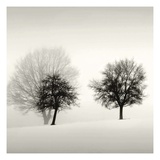 Winter Light Detail Giclee Print by Ilona Wellman