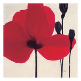 Red Giclee Print by Ivo Stoyanov