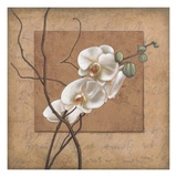 Golden Orchid II Giclee Print by Lee Carlson