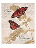 Ruby Collection 8 Reproduction procédé giclée par Chad Barrett