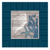 Coastal Treasures Reproduction procédé giclée par Sam Appleman