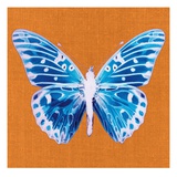 Orange Pop Butterfly Giclee Print by Christine Caldwell