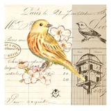 Bird Sketch 2 Lámina giclée por Chad Barrett