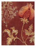 Chateau Pomegranate 2 Giclee Print by Regina-Andrew Design 