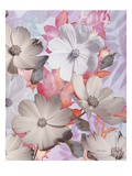 Lovely Bloom 2 Giclee Print by Matina Theodosiou