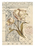 Tulip Etching Giclee Print by Chad Barrett
