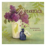 Blossoms and Herbs Impressão giclée por Angela Staehling