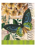 Bountiful Butterfly 2 Giclee Print by Walter Robertson