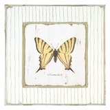 Queue d'hirondelle de jardin Reproduction procédé giclée par Jan Cooley