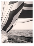 Volante Giclee Print by  Mystic Seaport Museum