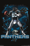 Carolina Panthers Quarterback Mascot Photo