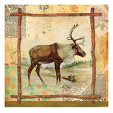 Elk Nature Giclée-Druck von Walter Robertson