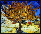 Mulberry Tree, c.1889 Framed Canvas Print by Vincent van Gogh