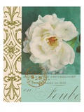 Floral Souvenir 1 Giclee Print by Cristin Atria