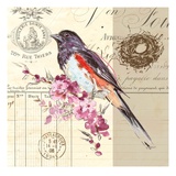 Bird Sketch 3 Impressão giclée por Chad Barrett