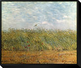 Wheat Field with a Lark Framed Canvas Print by Vincent van Gogh