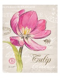 Sketchbook Tulip Giclée-Druck von Chad Barrett