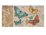 Butterfly Gathering Giclee Print by Chad Barrett