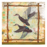 Duck Nature Giclée-Druck von Walter Robertson