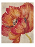Tangerine Bloom 2 Giclee Print by Bouchet 
