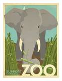Zoo Elephant Posters por Anderson Design Group