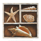 From the Ocean III Prints by Ted Broome