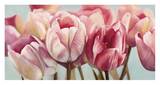 Printemps Posters by Cynthia Ann