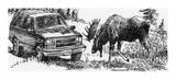 Moose Posters by Tom Beecham